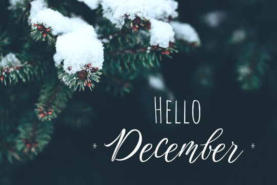 december